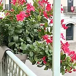 Bayab Charming - Corso Garibaldi