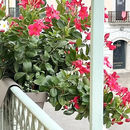 Bayab Charming - Corso Garibaldi